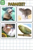 Animals in English screenshot 1