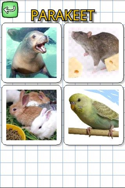 Animals in English - Preview 1