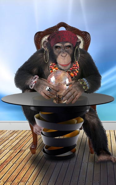 Angry Talking Monkey - Preview 4