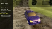 Rally Champions Lite screenshot 3
