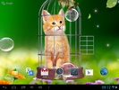 Cat and Hummingbirds Wallpaper screenshot 2