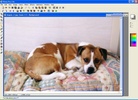 Photo Pos screenshot 2