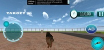 Us Army Spy Dog Training screenshot 4