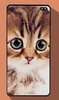 Cute Cat Wallpapers screenshot 5