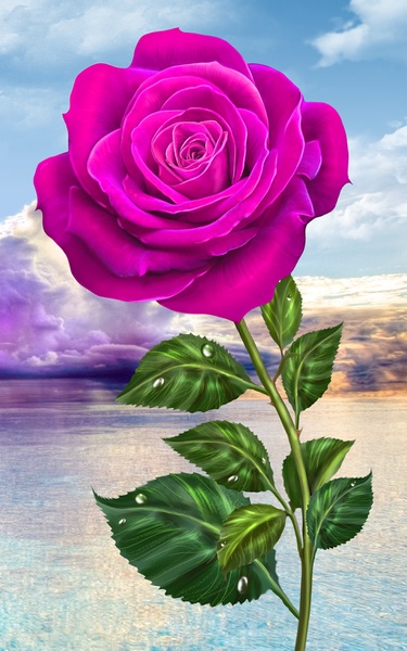 Rose - Preview 4