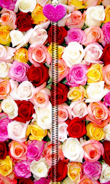 PinkRosesZipperUnLock - Preview 2