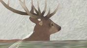 Deer Hunting 3D screenshot 2