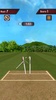 Flick Cricket 3D screenshot 4