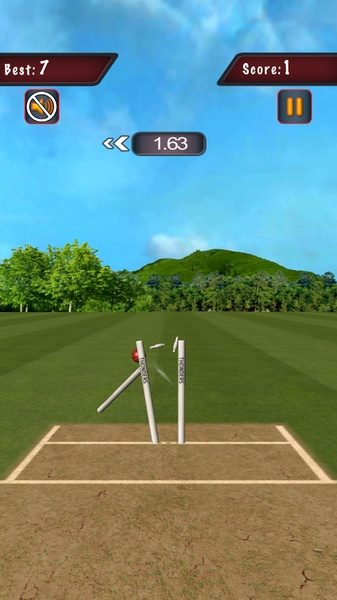 Flick Cricket 3D - Preview 4