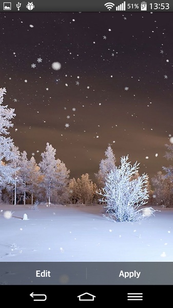 Winter Forest Live Wallpaper - Preview 7