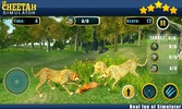 Real Cheetah Attack Simulator screenshot 14