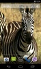 Animals of Africa Video LWP screenshot 2