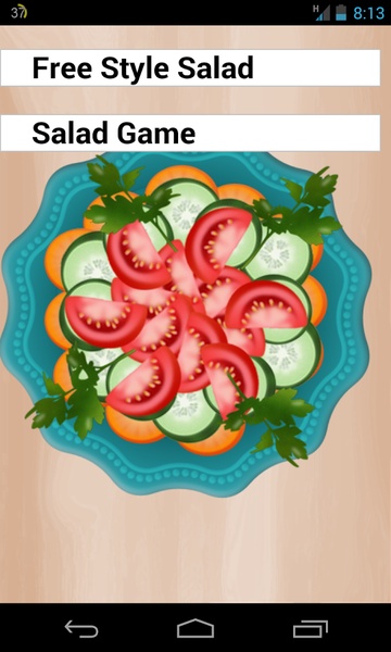 Salad Maker - Preview 3