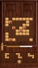 Door Blocks Puzzle screenshot 1
