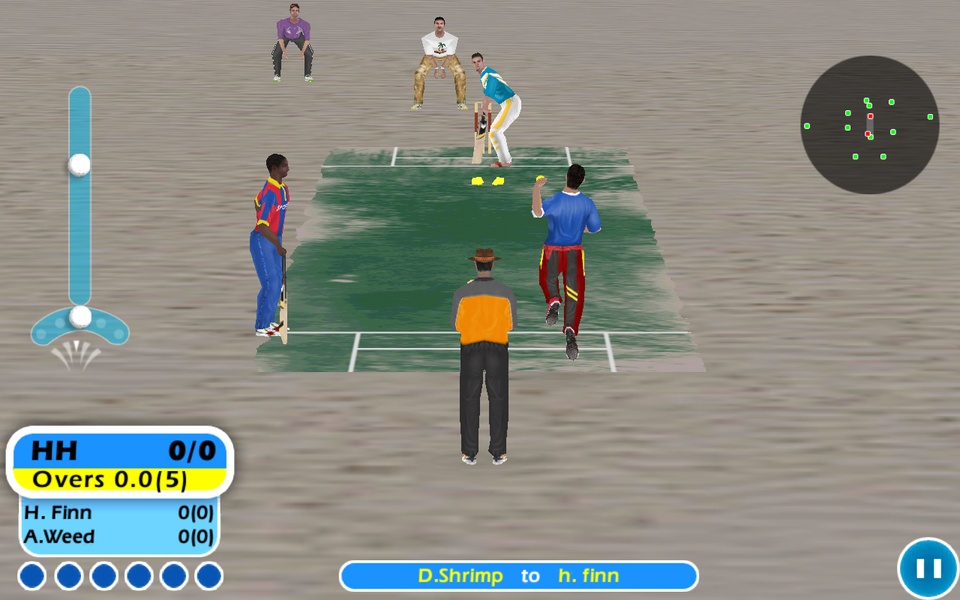 Beach Cricket - Preview 1