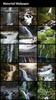 Waterfall Wallpapers screenshot 8