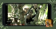 Wild Animals Documentary screenshot 1