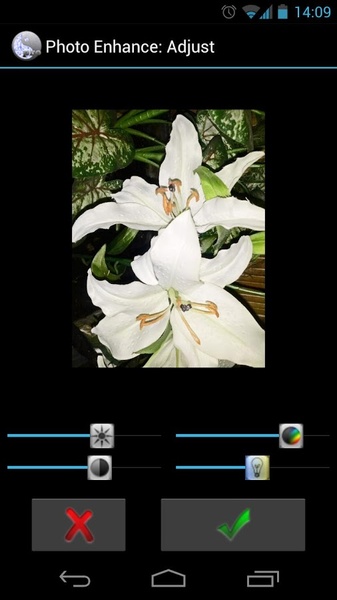 Photo Enhance - Preview 4