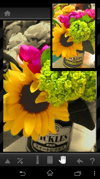 RIPIC - Preview 1
