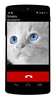 Fake Call Cat screenshot 3