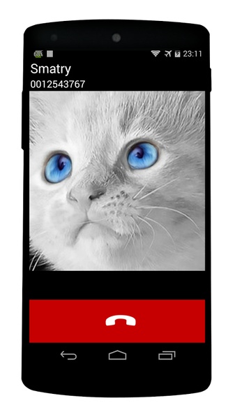 Fake Call Cat - Preview 3