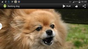 Barking dog screenshot 5