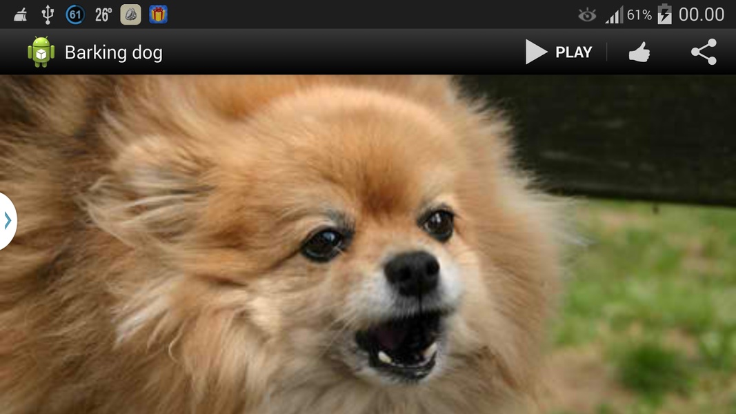 Barking dog - Preview 5