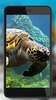 Tortoises Sea screenshot 3