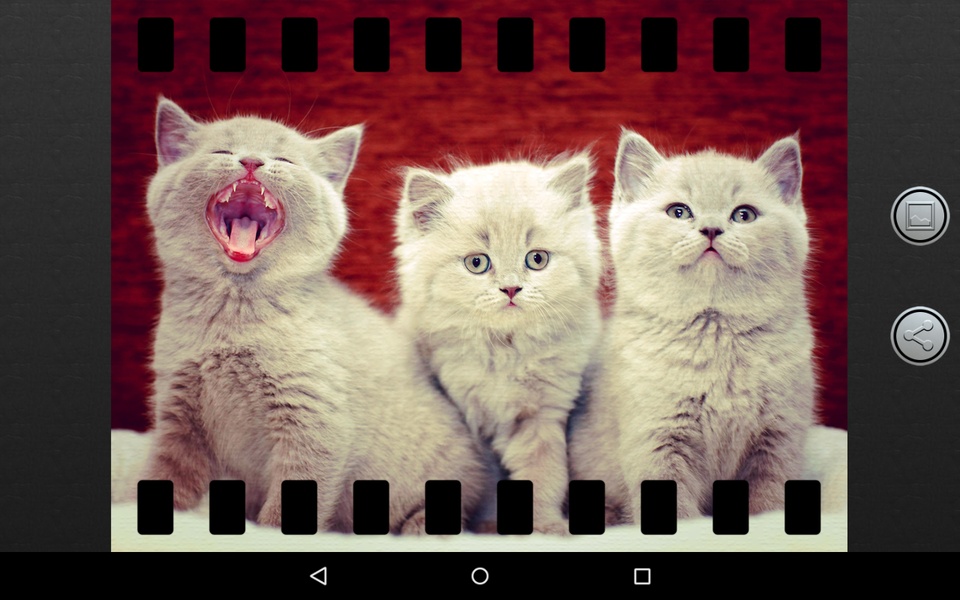 Vintage Camera - Preview 1