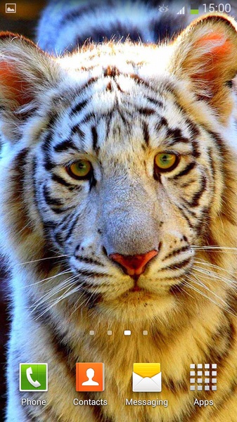 White Tiger Live Wallpaper - Preview 7