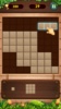 Wood Block Puzzle - free puzzles game screenshot 5