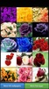 Roses HD Wallpapers screenshot 7