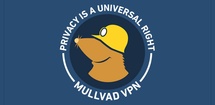 Mullvad VPN feature