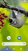 Bird Wallpaper HD screenshot 6