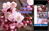 Sakura Live Wallpaper screenshot 6