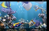 The real aquarium - HD screenshot 22