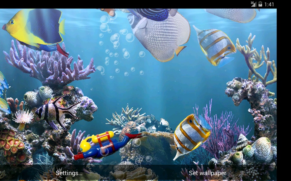 The real aquarium - HD - Preview 21