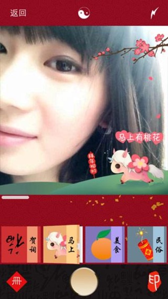 NewYearCamera - Preview 2