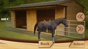 Horse Racing Derby Quest Horse Games Simulator 2023 screenshot 7