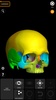 Skeleton 3D Anatomy screenshot 5
