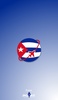 Cuban Customs Regulations screenshot 3