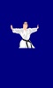 Karate All Shotokan Katas screenshot 2