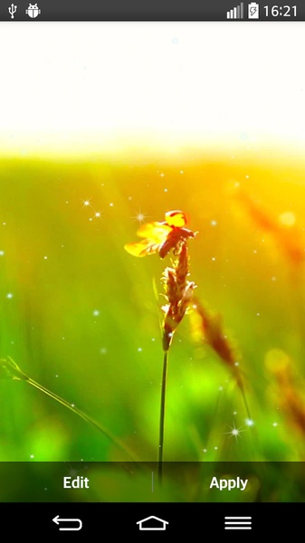 Green Nature Live Wallpaper - Preview 4