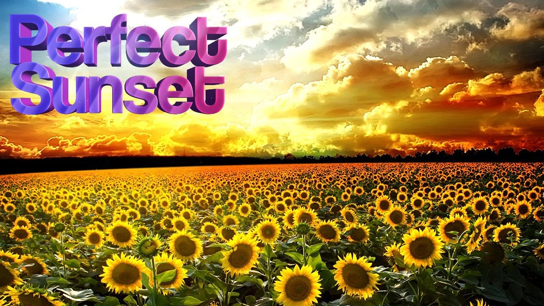 Perfect Sunset Live Wallpaper - Preview 1