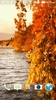 Autumn 3D Video LWP screenshot 4