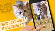 Cat Communicator. Simulator screenshot 1