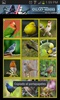 Pajaros cantores screenshot 6