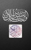 Quran Radio screenshot 5