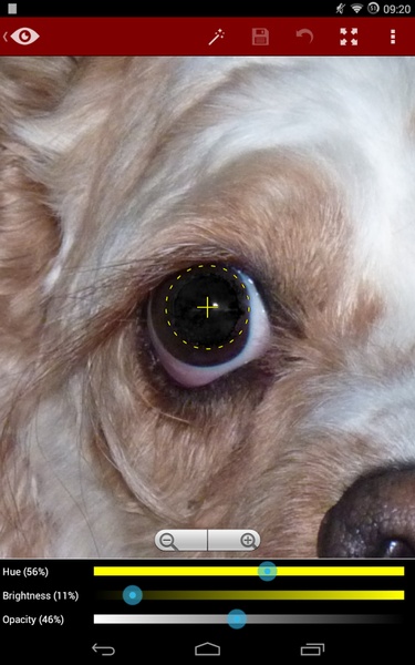 Red Eye Removal (Free) - Preview 8