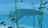 Sharks VR screenshot 3